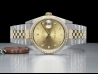 Rolex Datejust 36 Champagne Jubilee Crissy Diamonds Dial 16233